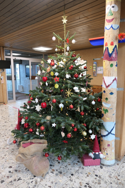 Der Weihnachtsbaum ist geschmückt!